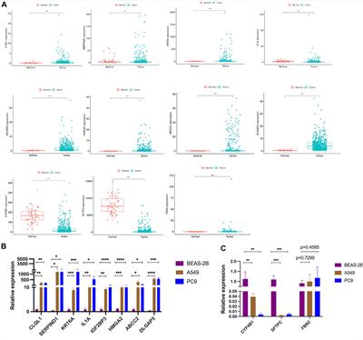 Apoptosis-Related Signature Predicts Prognosis and Immune Microenvironment Infiltration in Lung Adenocarcinoma